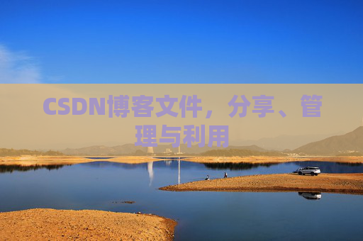CSDN博客文件，分享、管理与利用